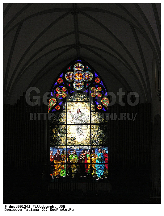 ������������, ���������, ���, ��������, ������, �������