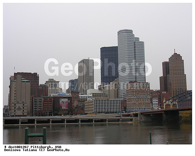 ������������, ���������, ���, �����������, ������, ����������, ����������, ���� �����, ������