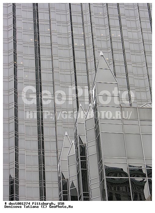 ������������, ���������, ���, �����������, ������, ����������, ������