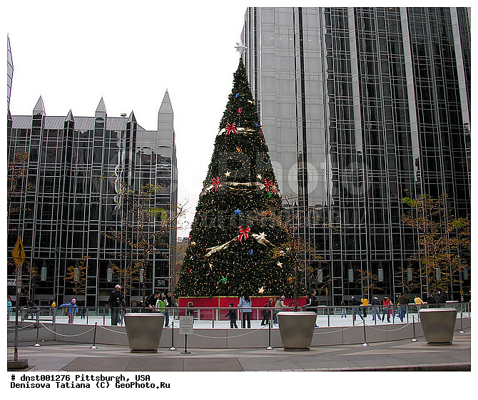 ������������, ���������, ���, �����������, ����, ����, ������