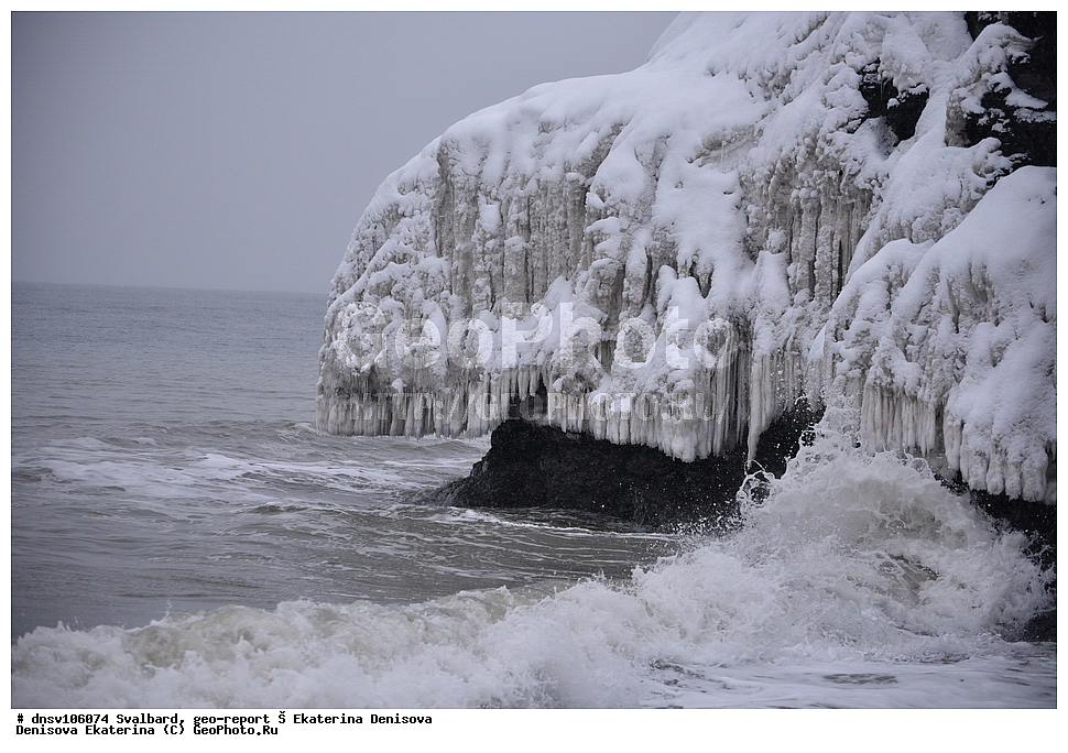 ����������, ���������, �������, ����, ������� ����������, 2018