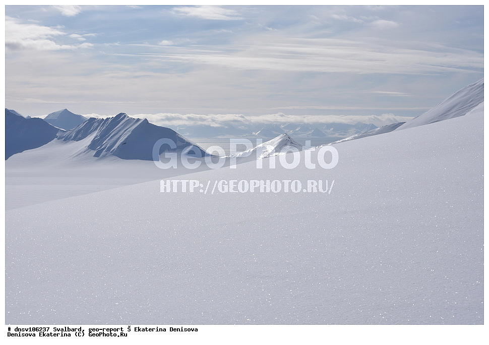 ����������, ���������, �������, ����, ������� ����������, 2018