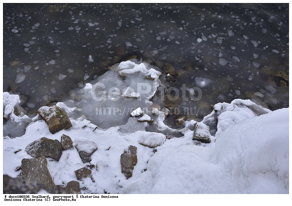 ����������, ���������, �������, ����, ������� ����������, 2018