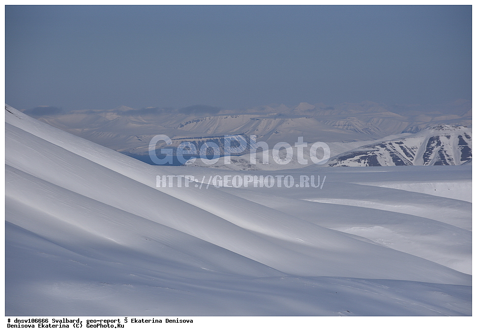 ����������, ���������, �������, ����, ������� ����������, 2018