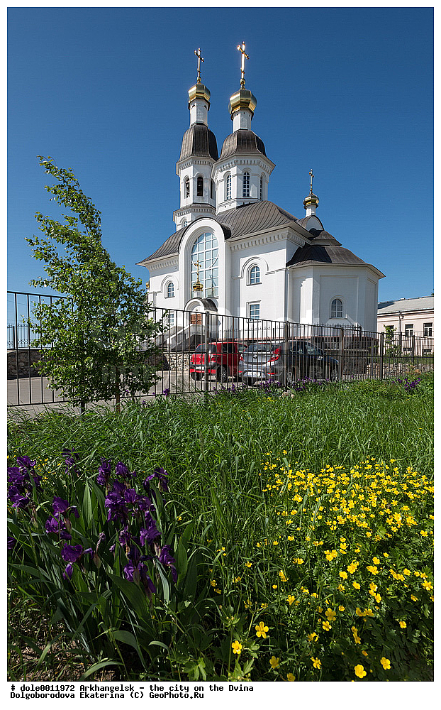 �����������, �����, ������, ��������� �������, �������, �����