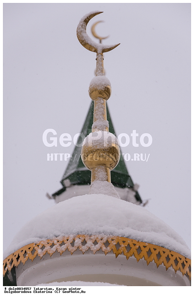 ���������, ������, ����, ������, �����, ���������