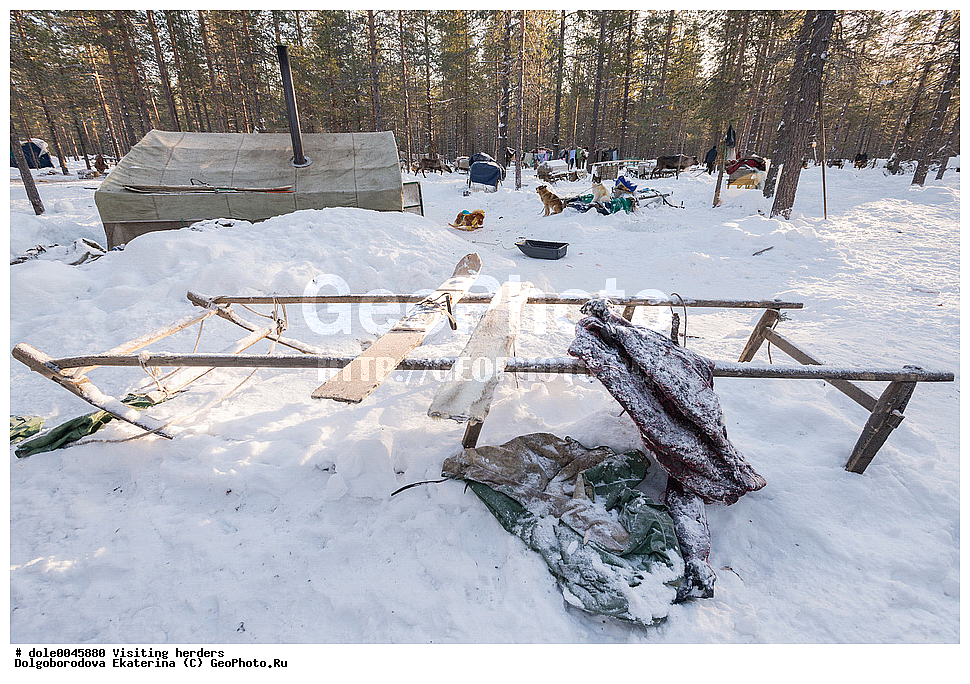  �����, ��������, ����, ����, �����