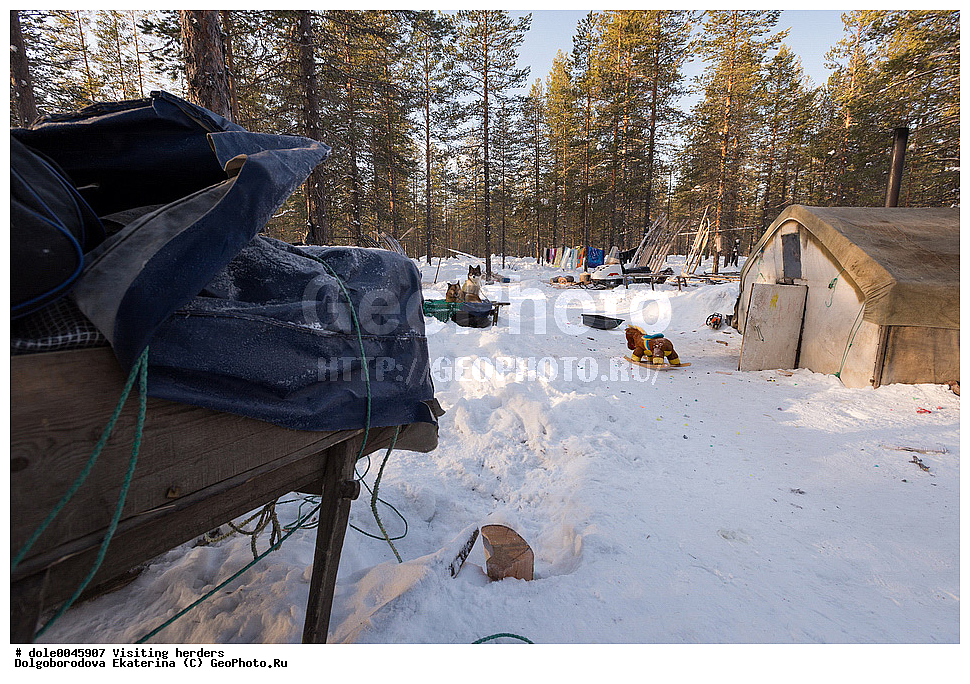  �����, ��������, ����, ����, �����