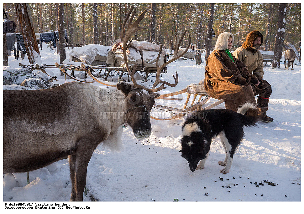  �����, ��������, ����, ����, �����