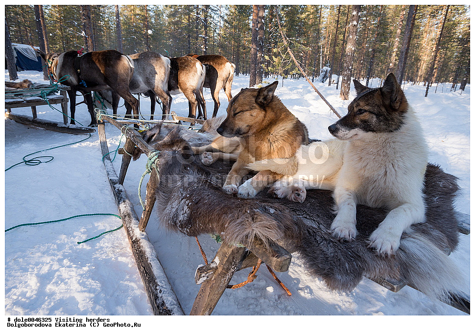  �����, ��������, ����, ����, �����