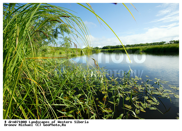 �������� ������, ��������, ����, �����, ������