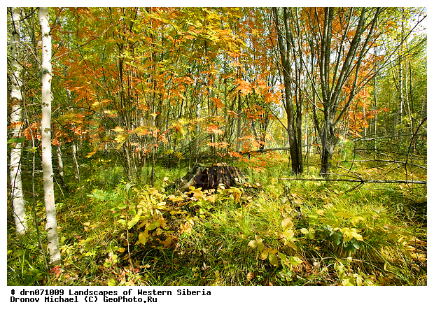 �������� ������, �����, ������, �����