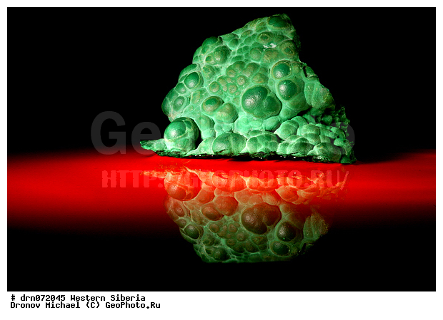 ����, �������, ������, �������