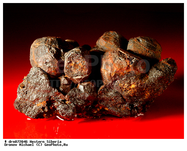 �������, ������, ���������