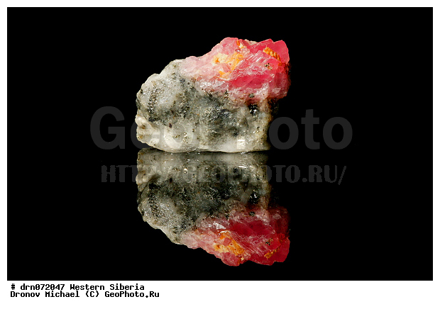 �������, ������, ����������