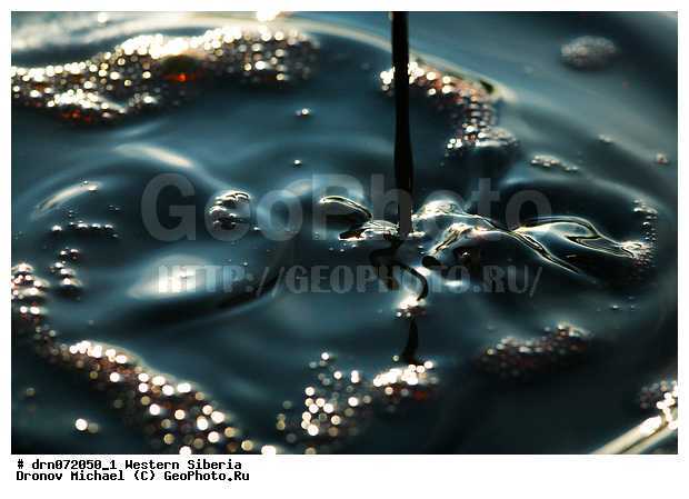 �������� ������, �����, ����� �����, ������, ������, �����, ����� , �����, �����������, ������, ����� �����, ������