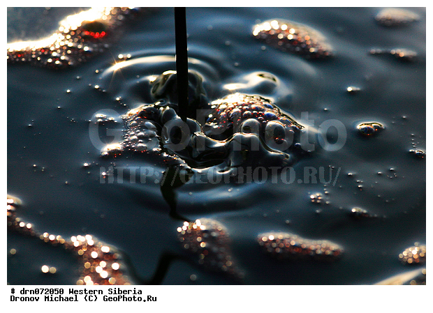 �������� ������, �����, ����� �����, ������, ������, �����, ����� , �����, �����������, ������, ����� �����, ������