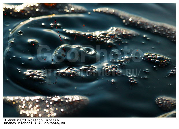 �������� ������, �����, ����� �����, ������, ������, �����, ����� , �����, �����������, ������, ����� �����, ������