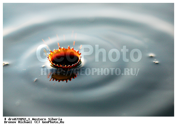 �������� ������, �����