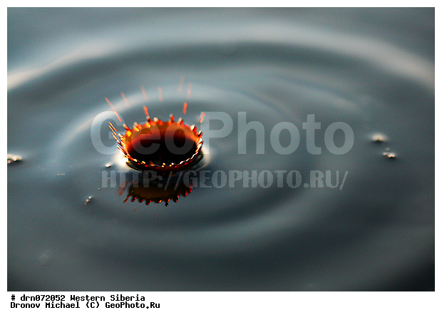 �������� ������, �����, ����� �����, ������, ������, �����, ����� , �����, �����������, ������, ����� �����, ������