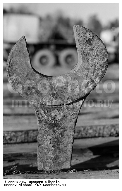 �������� ������, ���, �����, �����, ��������