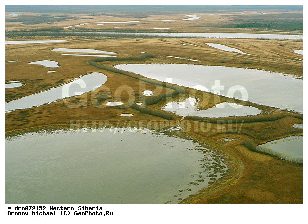 �������� ������, �������, ����������, ��������������, ����������� ������, ��� ������, ��� � �������, ������