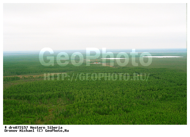 �������� ������, �������, ����������, ��������������, ����������� ������, ��� ������, ��� � �������, ������