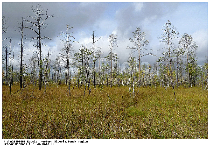 �������� ������, �������, ������� �����, ������, ������ �����, �����,��������� �������, �������������, �������� �������������, �������
