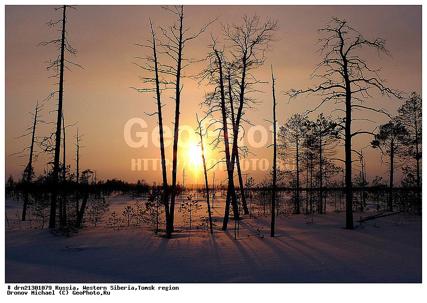 �������� ������, �������, ������� �����, ������, ������ �����, �����,��������� �������, �������������, �������� �������������, �������
