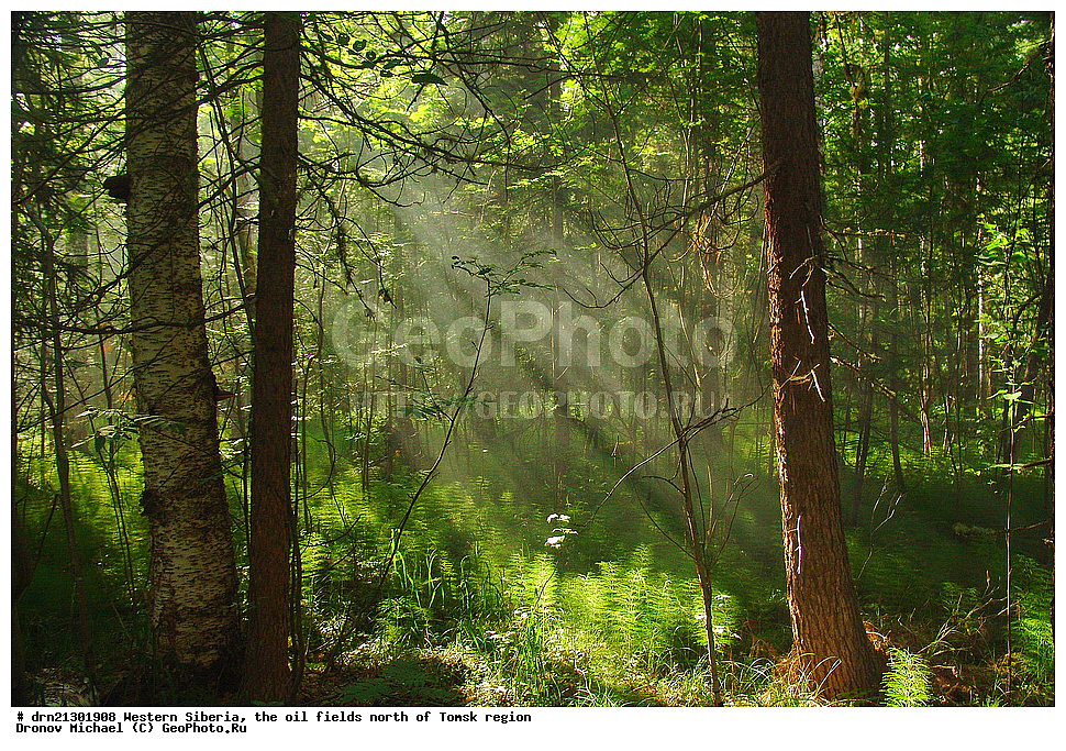 �������� ������, �������, ������� �����, ������, ������ �����, �����,������� �������, �������������, �������� �������������, �������
