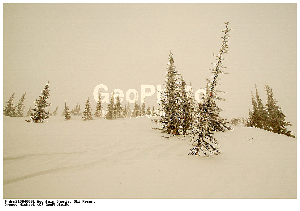 ������ �����, �������, ����������� ������