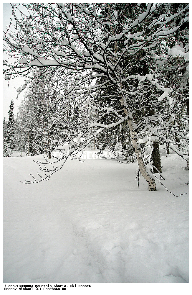 ������ �����, �������, ����������� ������