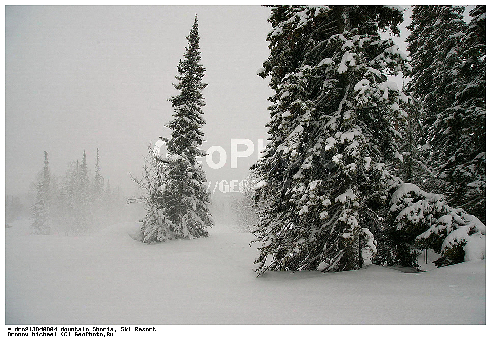 ������ �����, �������, ����������� ������