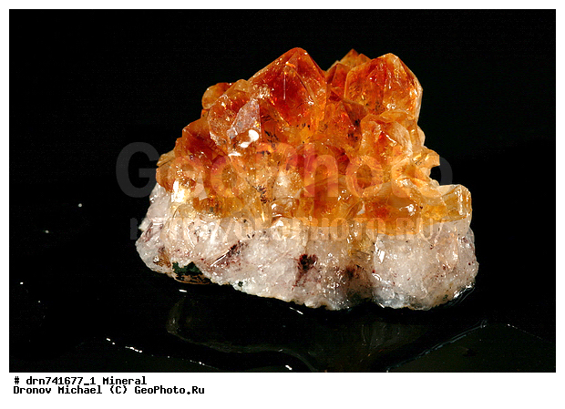 �������, �����������