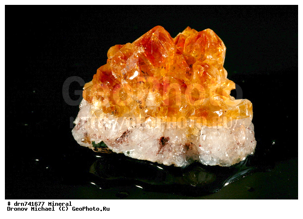 �������, �����������