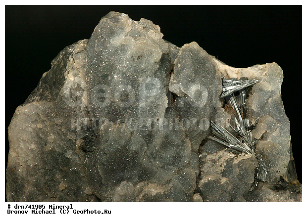 �������, �����������