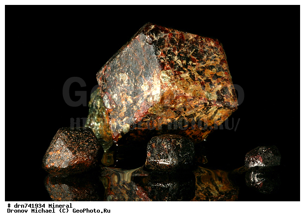 �������, �����������