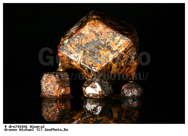 �������, �����������