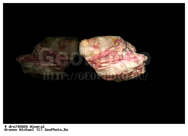 �������, �����������