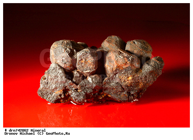 �������, �����������