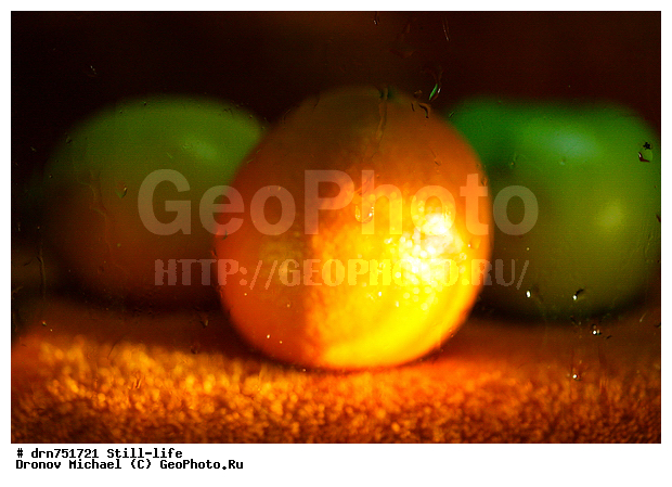 ���������, ��������