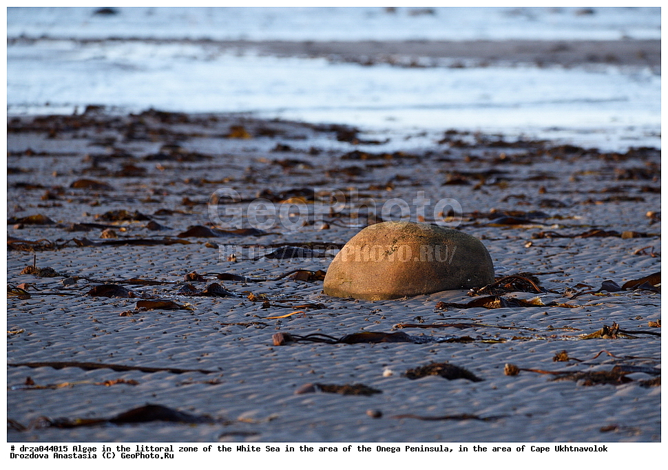 �������, �������� �������, �������� ����������, ����� ����, ������������ ����,   ��������, �����, �������, ��������, ���������, ������