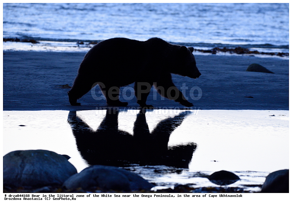 �������, �������� �������, �������� ����������, ����� ����, ������������ ����,   ��������, ����� ����, ��������, �������