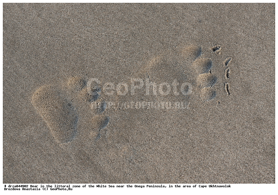 �������, �������� �������, �������� ����������, ����� ����, ������������ ����,   ��������, ����� ����, ��������, �������