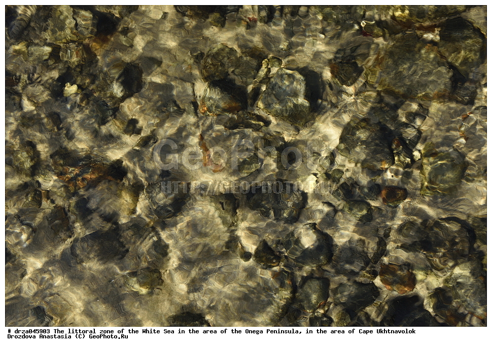 �������, �������� �������, �������� ����������, ����� ����, ������������ ����,   ��������, ����� ����, �������� �������, �������� 