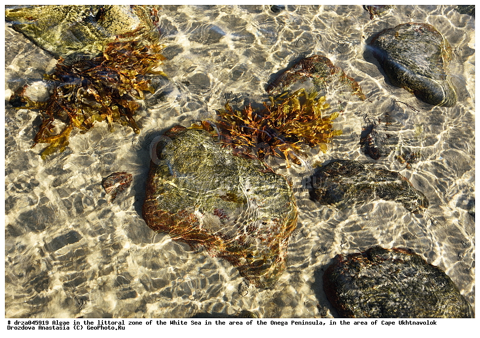 �������, �������� �������, �������� ����������, ����� ����, ������������ ����,   ��������, �����, �������, ��������, ���������, ������