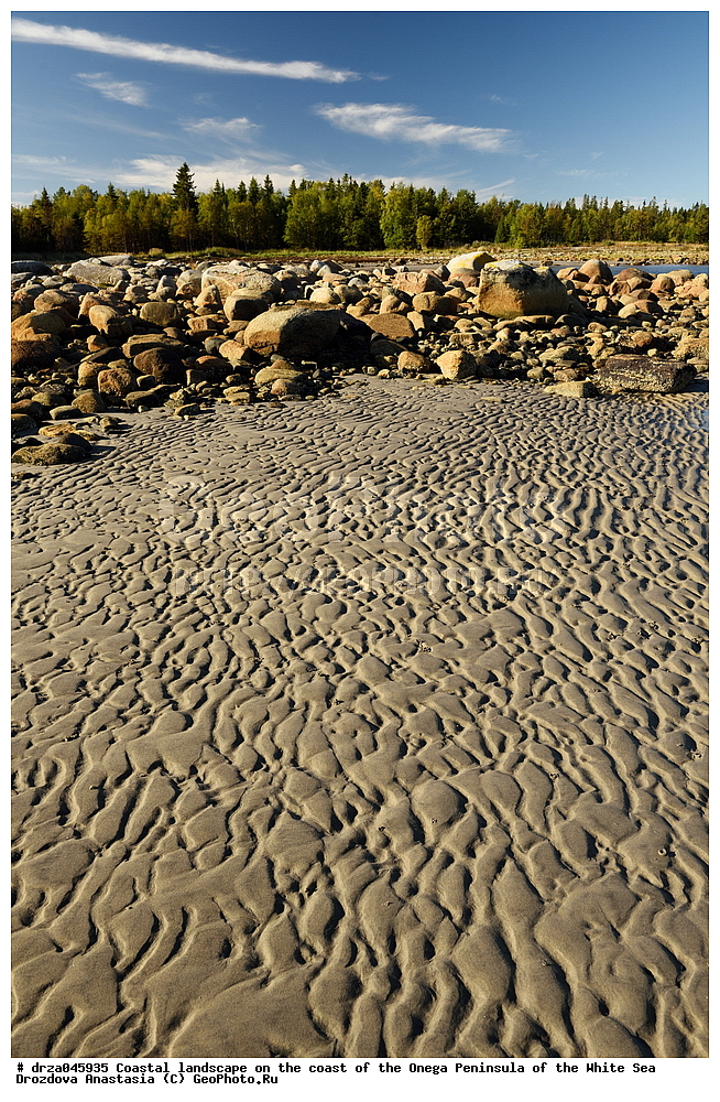 �������, �������� �������, �������� ����������, ����� ����, ������������ ����, ���������� ��������, ����� ���� 
