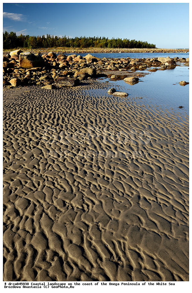 �������, �������� �������, �������� ����������, ����� ����, ������������ ����, ���������� ��������, ����� ���� 
