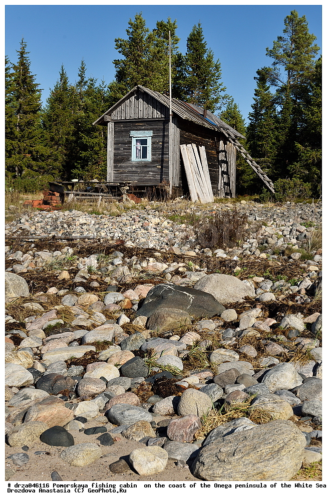 �������, �������� �������, �������� ����������, ����� ����, ������������ ����, ���������� ��������, ����� ����, ����, ��� �� ������, �������� ����, ����, ����������
