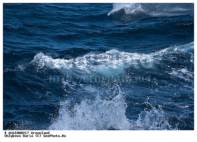 ����������, �����